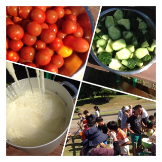 image-20130629215128.png