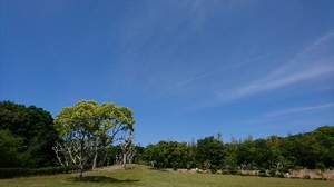 20180511100044559.jpg