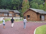 IMG_2454.jpg