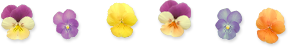 a10.png