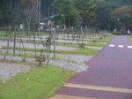 miyama3.jpg