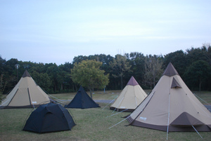 sDSC_0011.jpg