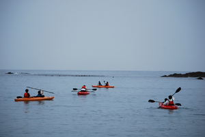 sDSC_0079.jpg