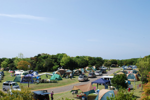 sDSC_0393.jpg