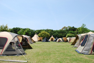sDSC_0419.jpg