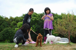 sDSC_0424.jpg
