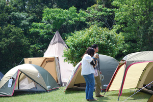 sDSC_0463.jpg