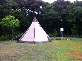 image-20110721093727.png