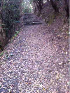 image-20111201203530.png