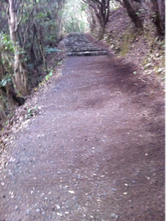image-20111201203552.png
