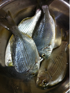 image-20111203192457.png