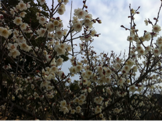 image-20120303115432.png