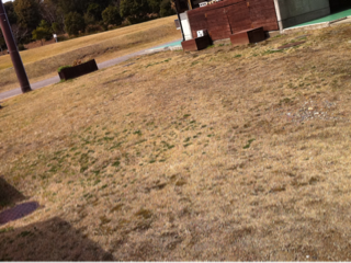 image-20120306125431.png