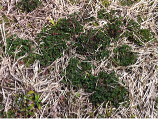 image-20120306125508.png