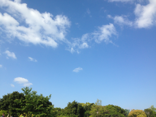 image-20130505204312.png