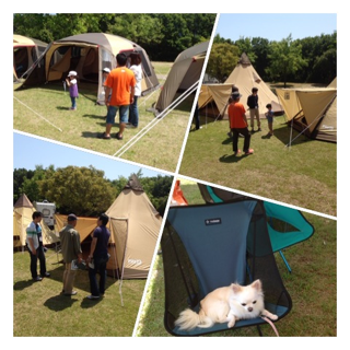 image-20130519081347.png