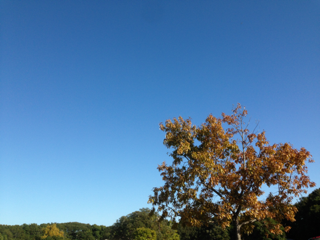 image-20131123235600.png
