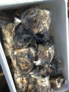 image-20131226181130.png