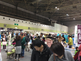 image-20140310201526.png