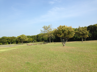 image-20140425212826.png